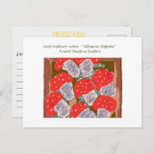 Litouwse kersttradities feestdagenkaart (Voorkant / Achterkant)