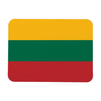 Litouwse vlag magneet
