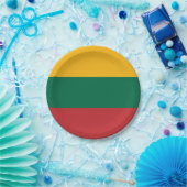 Litouwse vlag papieren bordje (Feest)