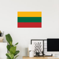 Litouwse vlag