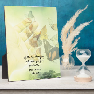 Littekenvlinder Fotoplaat