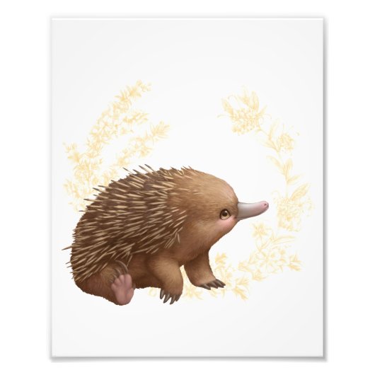 Little Aussie Friends - Echidna Foto Afdruk (Voorkant)