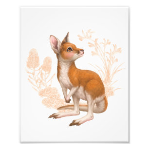 Little Aussie Friends - Kangaroo - Color Foto Afdruk