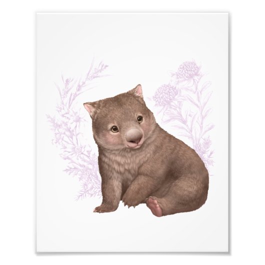 Little Aussie Friends - Wombat - Colour Foto Afdruk (Voorkant)