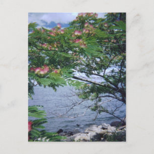 Little Bay Park, Queens, NY Briefkaart