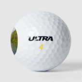 Little Beaver Lake Vroeg Voorjaar Golfballen (Logo)