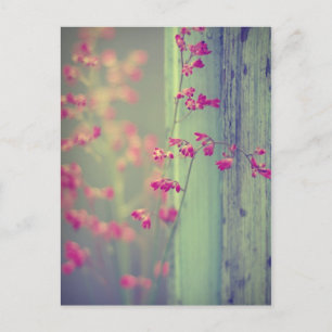 Little Bells Briefkaart