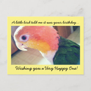 Little Bird Birthday Briefkaart