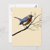 Little Bird Blue, Briefkaart (Voorkant / Achterkant)