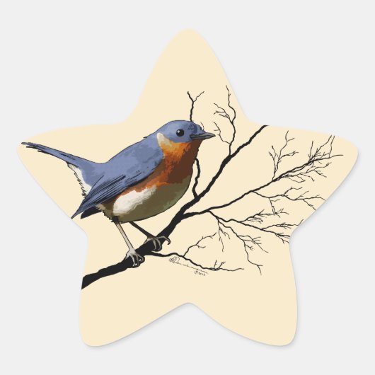 Little Bird Blue, stickers (Voorkant)
