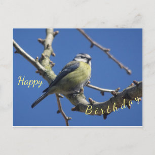 Little Bird with Blue Sky Happy Birthday Briefkaar Briefkaart
