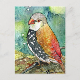 Little Birdy Briefkaart