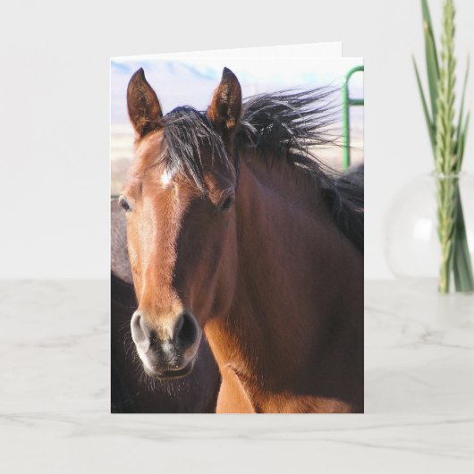 Little Bit Kaart (Voorkant)