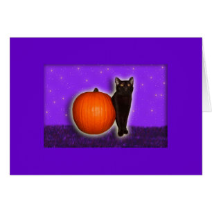 Little Black en Pumpkin