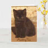 Little Black Kitten Mist You Kaart * (Gele Bloem)