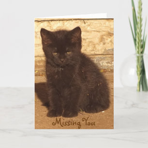 Little Black Kitten Mist You Kaart *