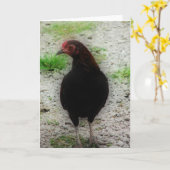 Little Black Rooster Kaart (Gele Bloem)