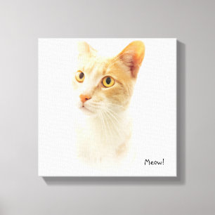Little Blondie Cat Wondering Canvas Afdruk