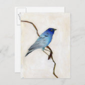 Little Blue 2012 Briefkaart (Voorkant / Achterkant)