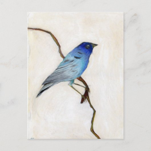 Little Blue 2012 Briefkaart (Voorkant)