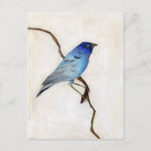 Little Blue 2012 Briefkaart