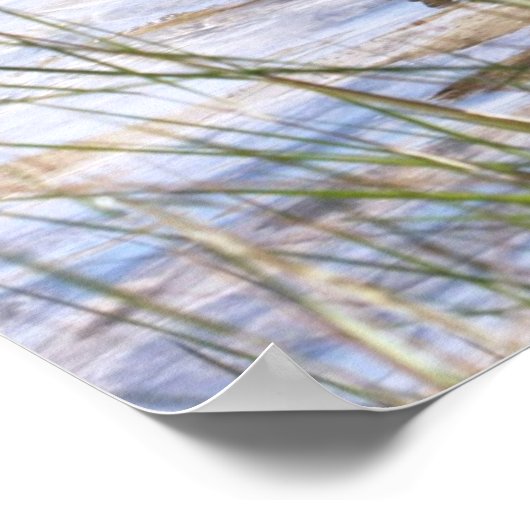 Little Blue Heron op Canvas Print (Hoek)