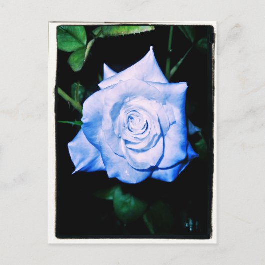 Little Blue Princess Briefkaart (Voorkant)