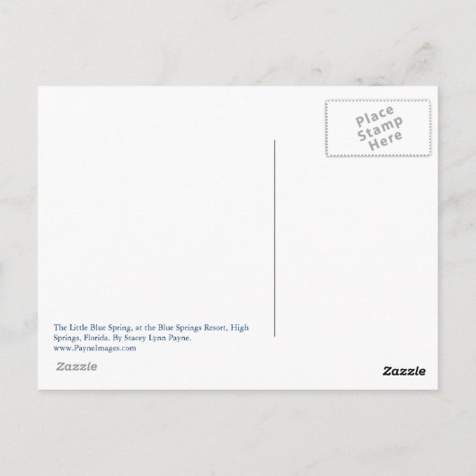 Little Blue Spring Briefkaart (Achterkant)