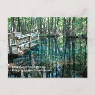 Little Blue Spring Briefkaart