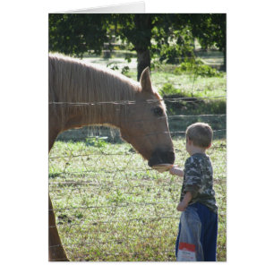 Little Boy alimentant le cheval