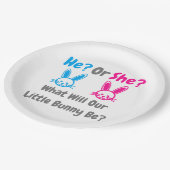 Little Bunny Gender onthulling Papieren Bordje (Gekanteld)