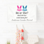 Little Bunny Gender onthulling Spandoek (Insitu)