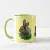 Little Bunny Mok (Links)