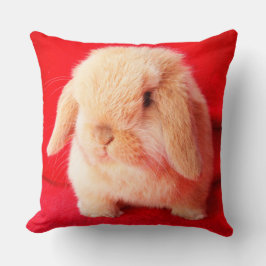 Little Bunny Pillow Kussen