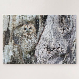 Little Camouflage Owl in boom Legpuzzel