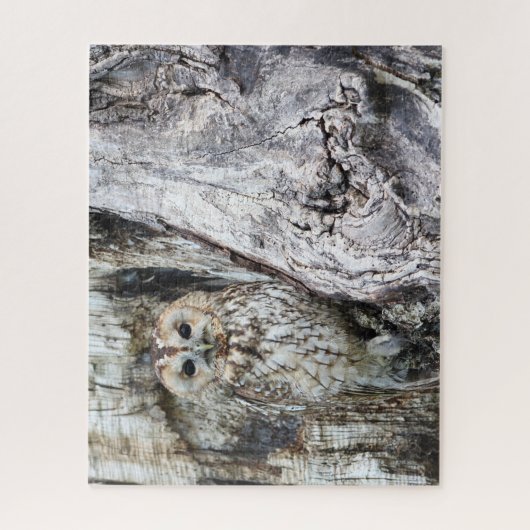 Little Camouflage Owl in Tree Legpuzzel (Verticaal)