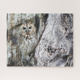 Little Camouflage Owl in Tree Legpuzzel