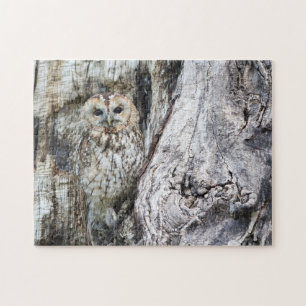 Little Camouflage Owl in Tree Legpuzzel