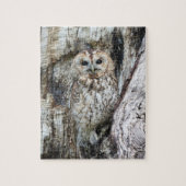 Little Camouflage Owl in Tree Legpuzzel (Verticaal)