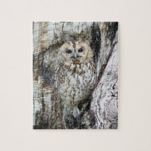 Little Camouflage Owl in Tree Legpuzzel