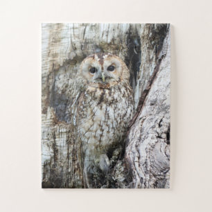 Little Camouflage Owl in Tree Legpuzzel