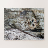 Little Camouflage Owl in Tree Legpuzzel (Horizontaal)