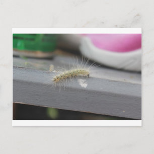 Little Caterstone Briefkaart