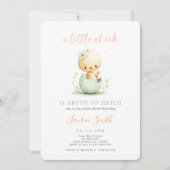 Little Chick Spring Baby Shower Kaart (Voorkant)