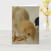 Little Chick toutes les occasions carte de voeux (Fleur jaune)