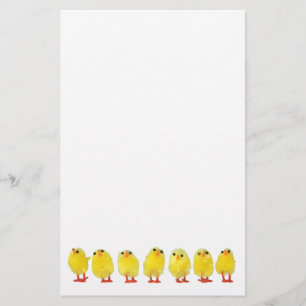 Little Chicks Stationery Briefpapier