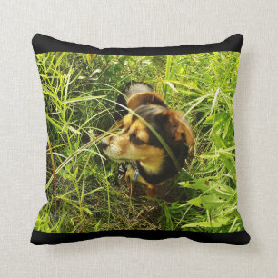 Little Chihuahua in Tall Grass Foto Pillow Kussen