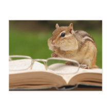 Little Chipmunk Reading Briefkaart