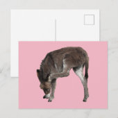 Little Chocolate Donkey Foal Scratching Ear Briefkaart (Voorkant / Achterkant)