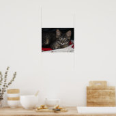 Little Cozy Kitten Poster met kerstmis (Keuken)